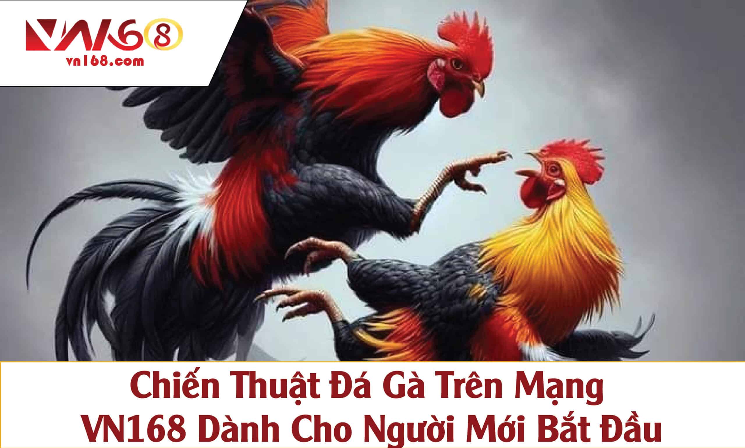 Chiến Thuật Đá Gà Trên Mạng VN168 Dành Cho Người Mới Bắt Đầu