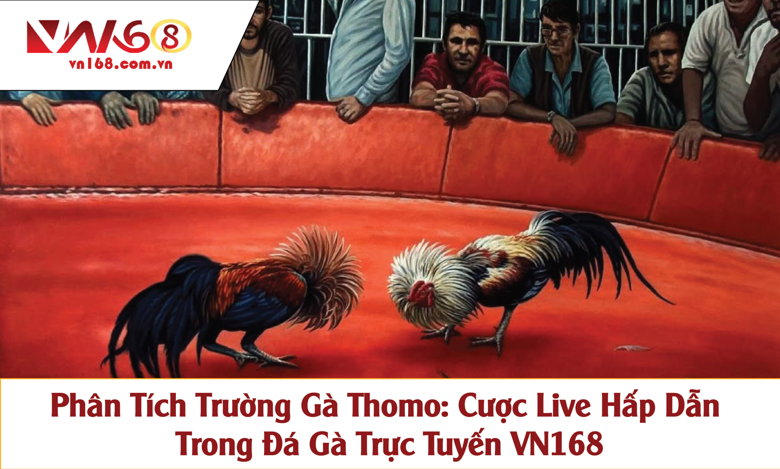 Phân Tích Trường Gà Thomo: Cược Live Hấp Dẫn Trong Đá Gà Trực Tuyến VN168